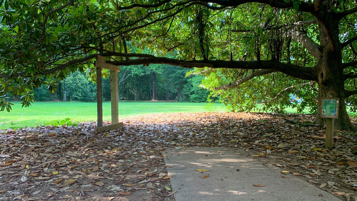 Hole 7