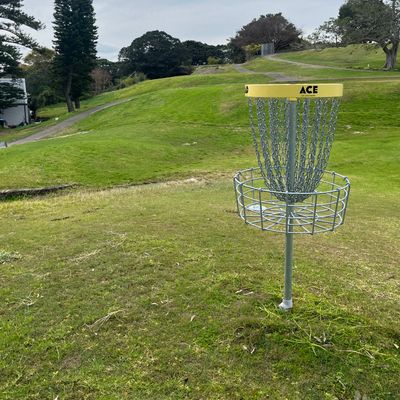 Hole 18 basket looking back at fairway