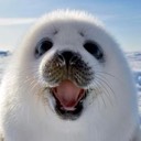 babysealbasher