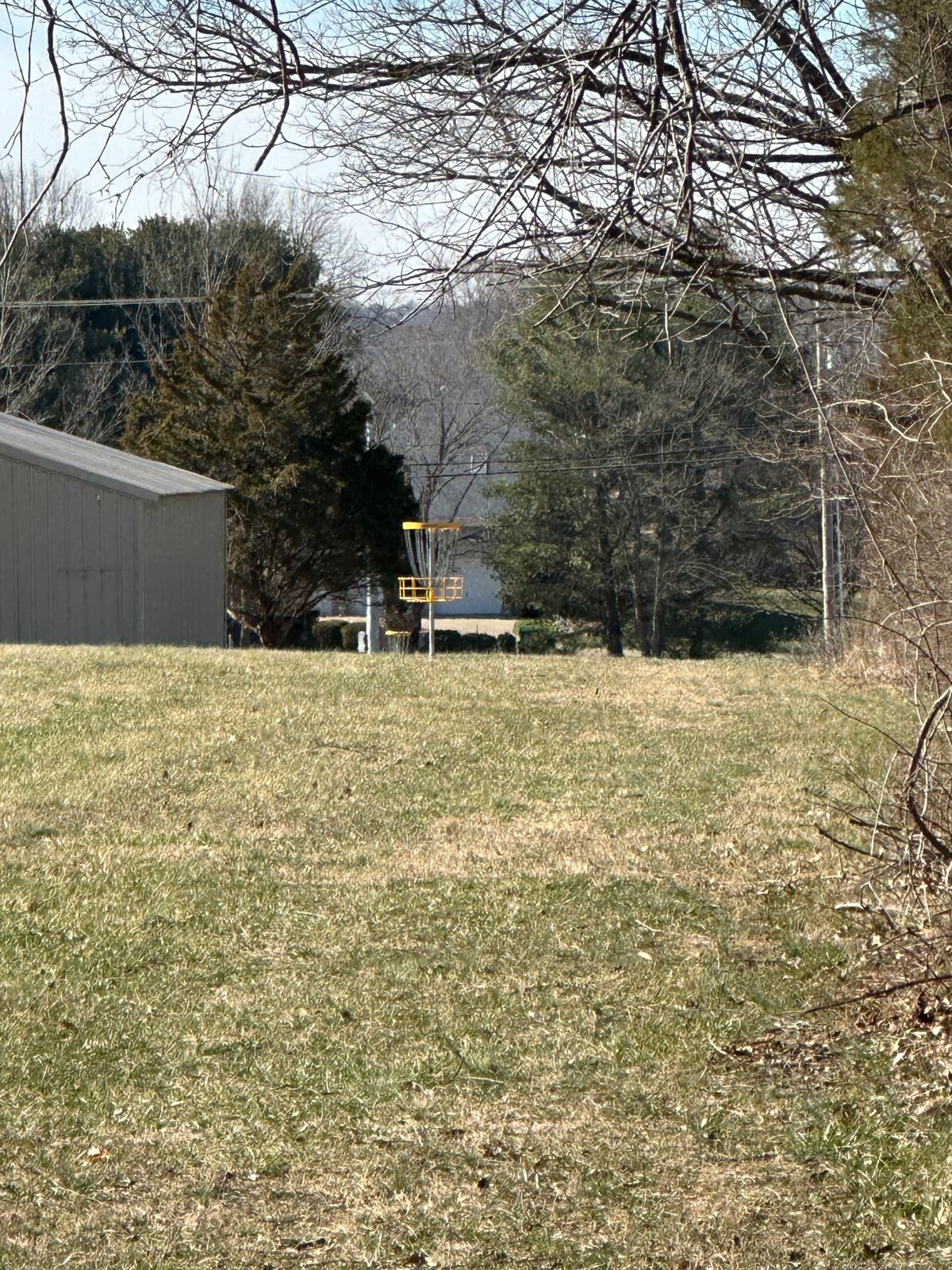 #6 fairway and basket
