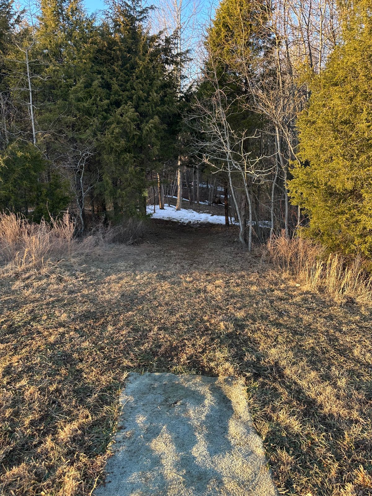 Hole 10 tee pad