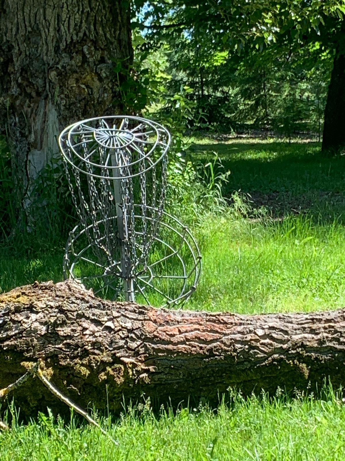 Water basket at 7 - before