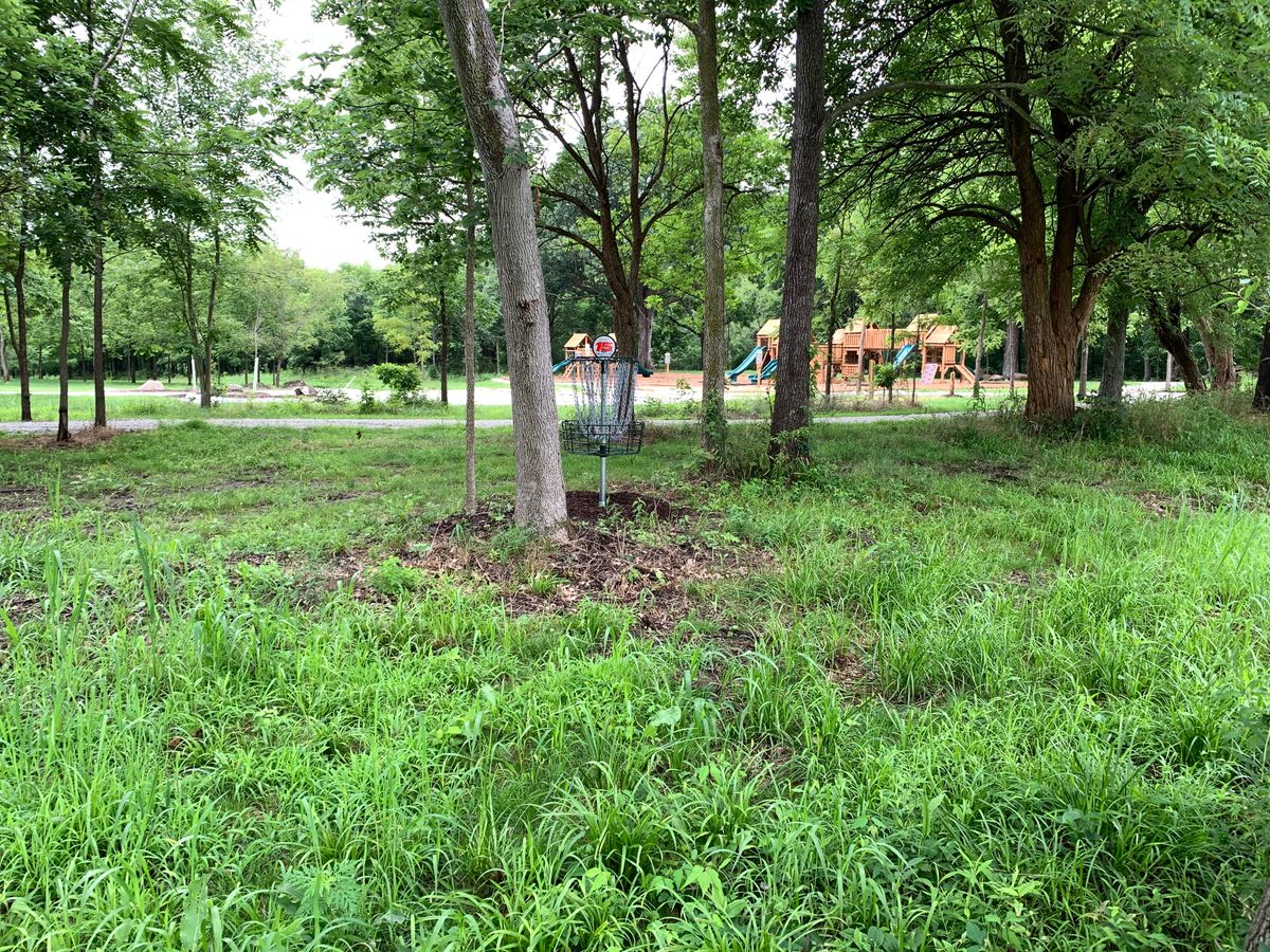 Hole 15 Basket