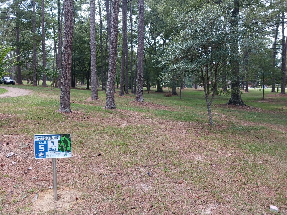 Hole 5