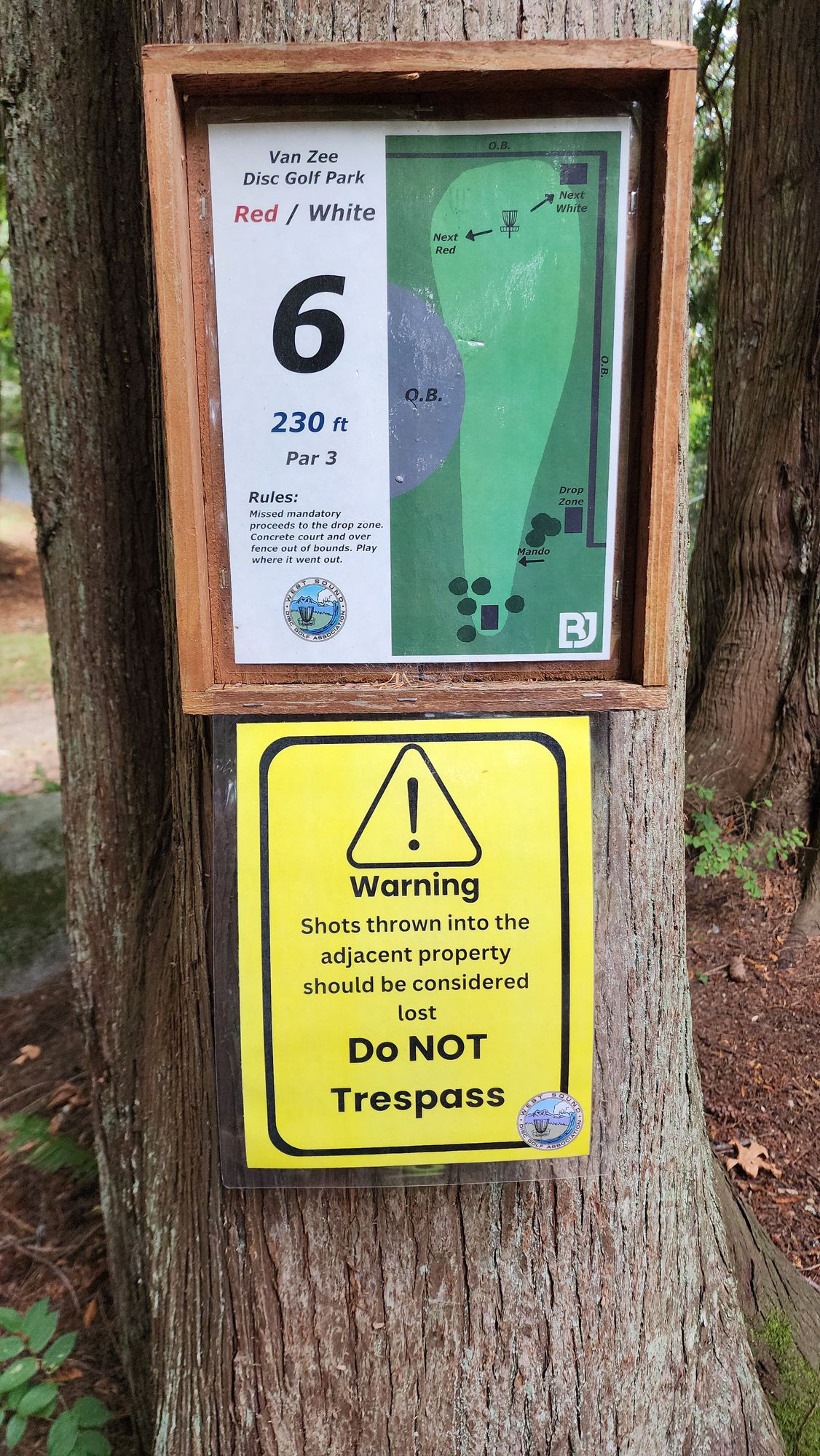 Hole 6 - Tee