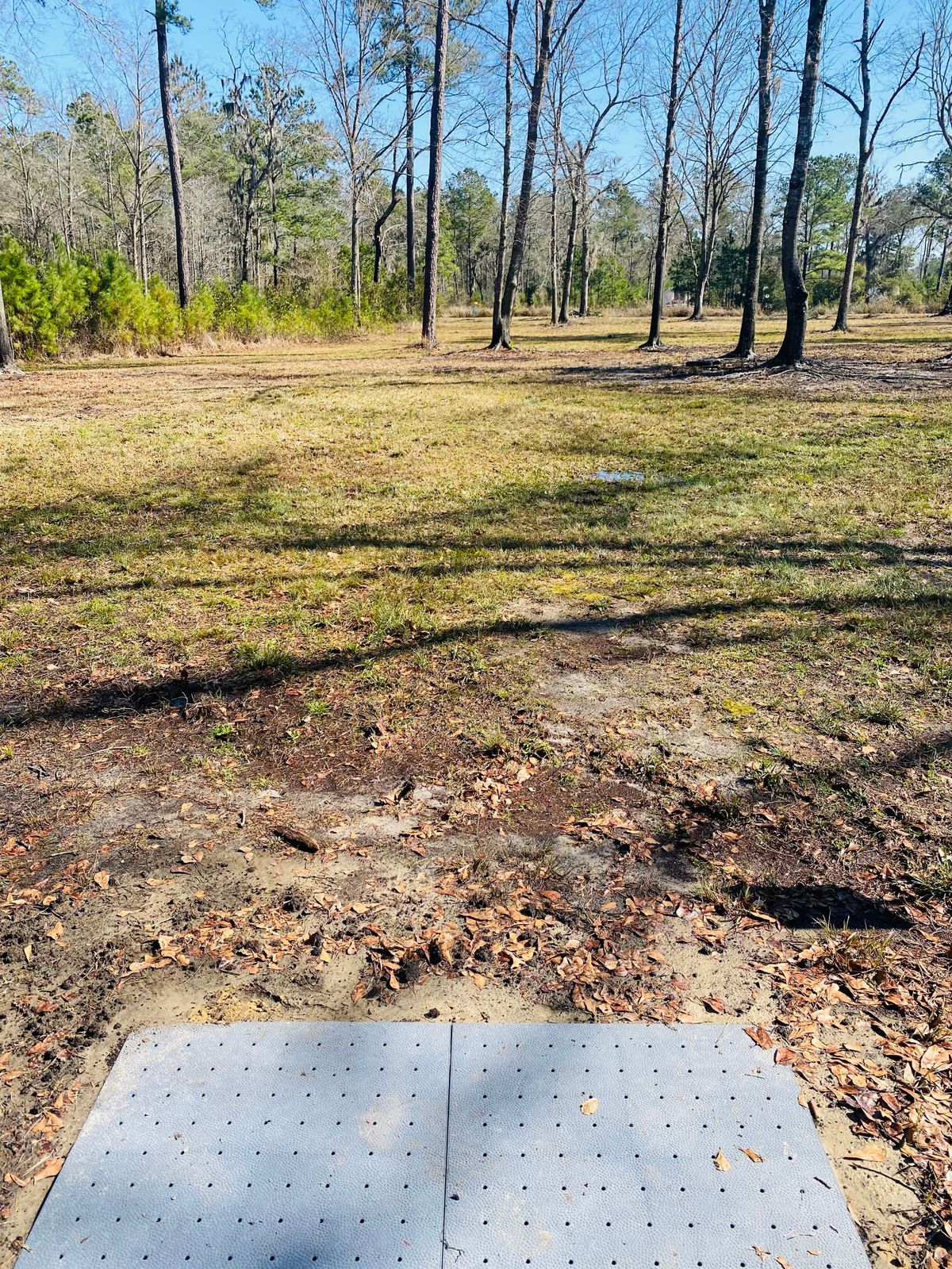 Hole 11