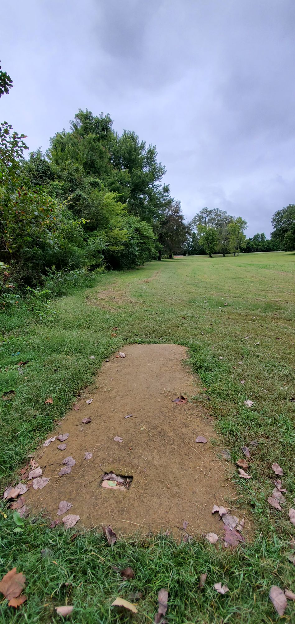 Hole 11