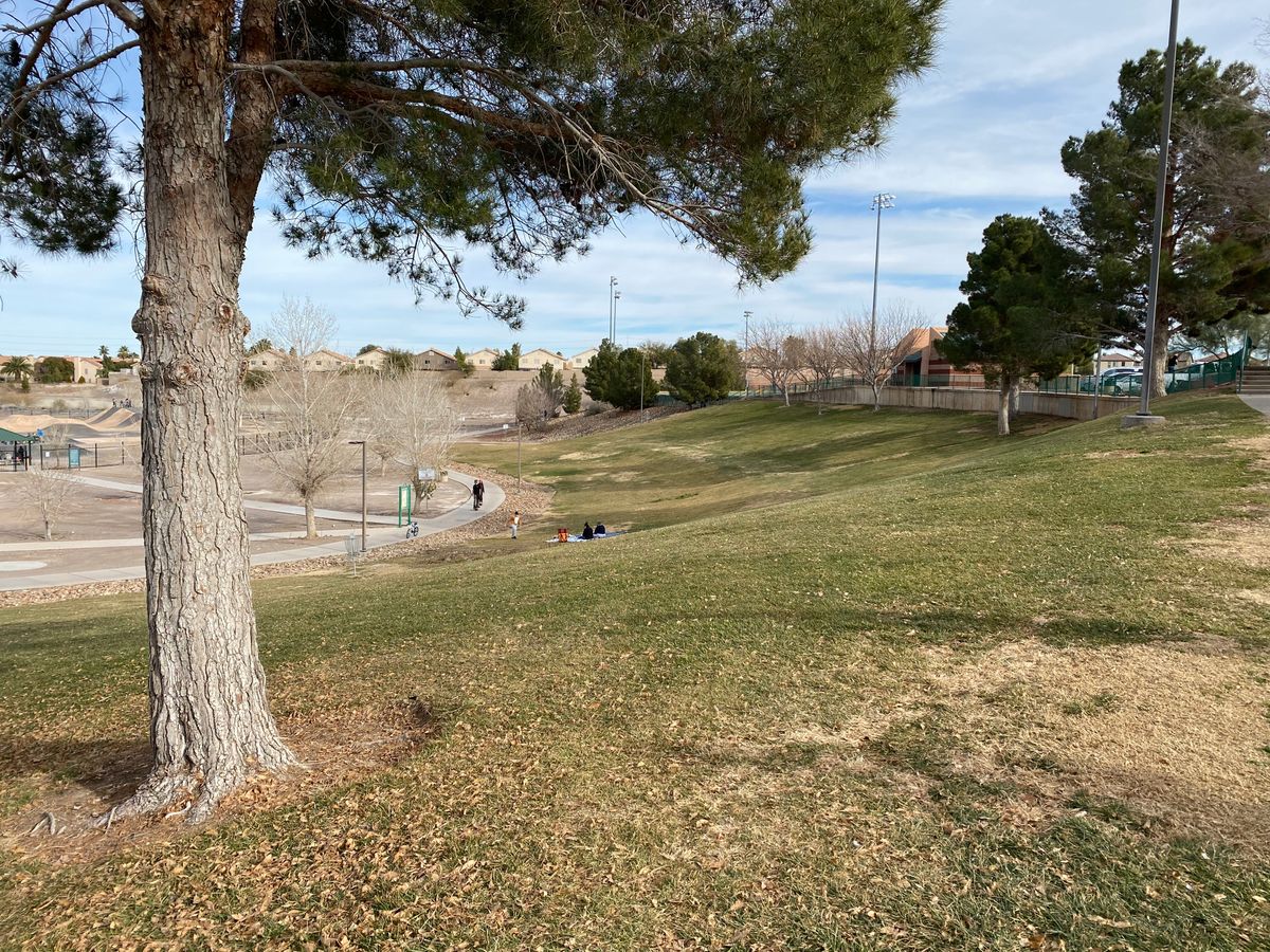 View of hole #1 with small, circular tee box.