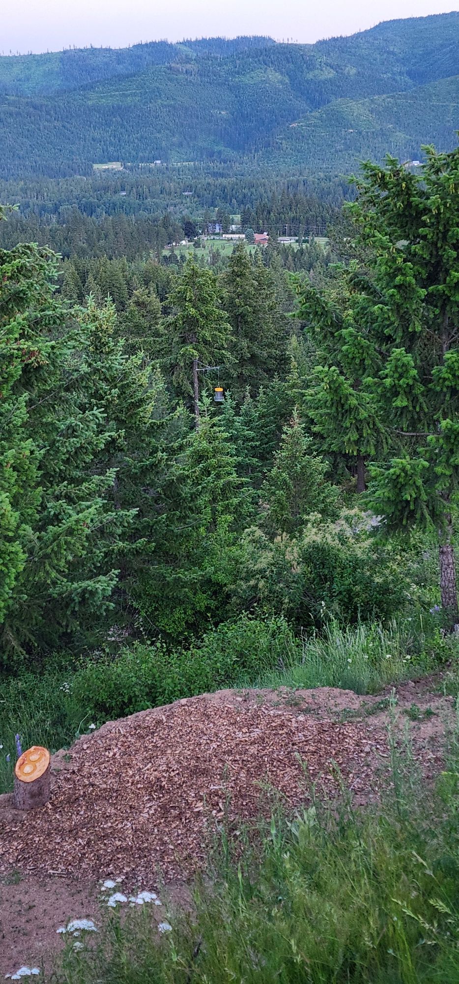 The "Eagles Nest" view from 8 gold. Optional basket, also marks dog leg