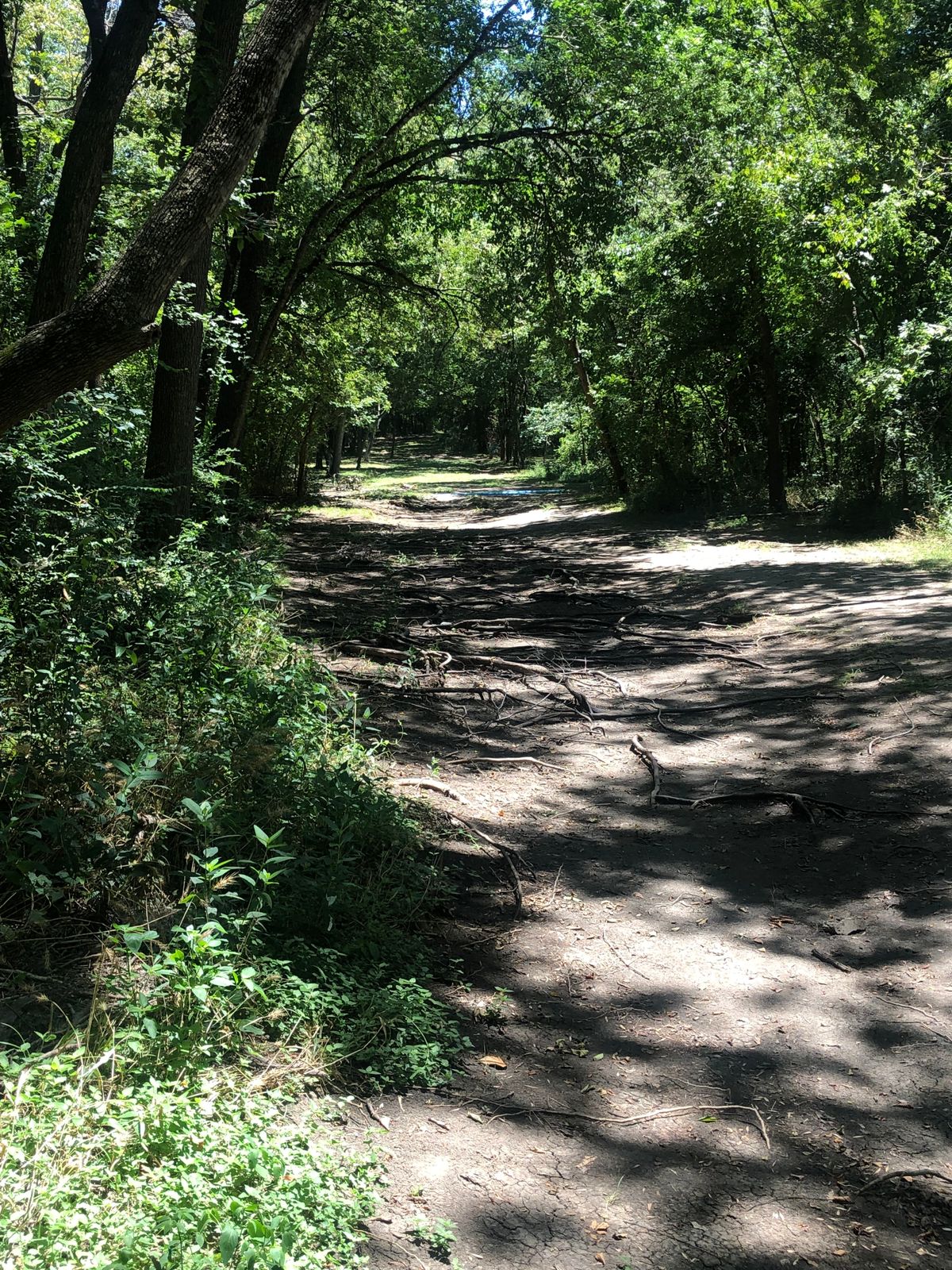 Hole #12