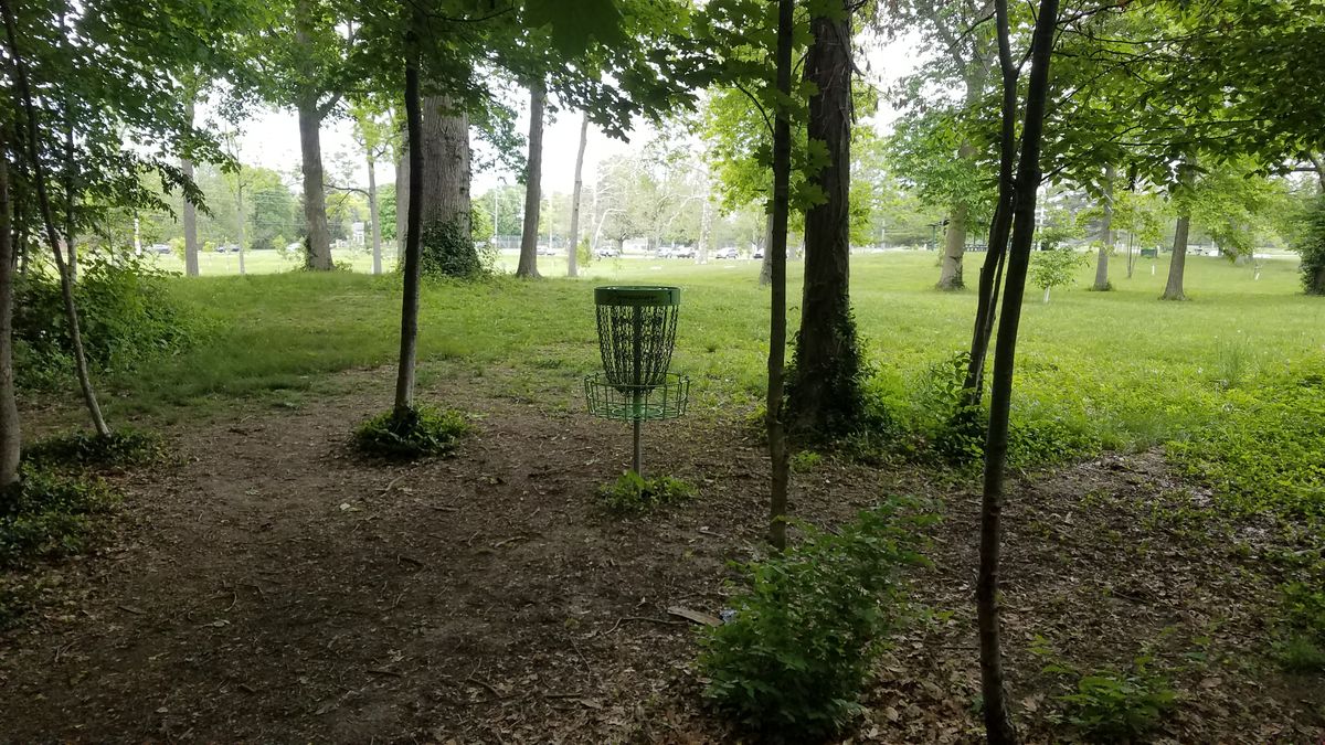 Looking back to tees from the long position