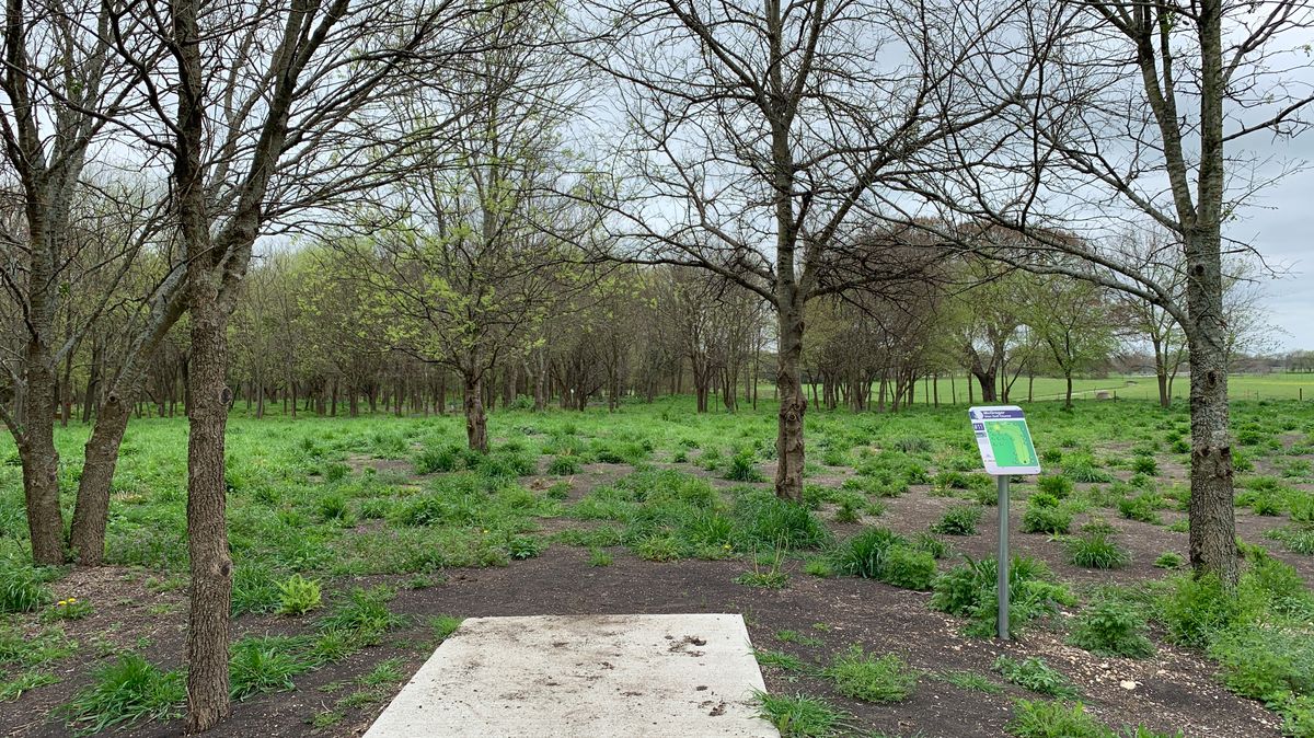 Hole 11