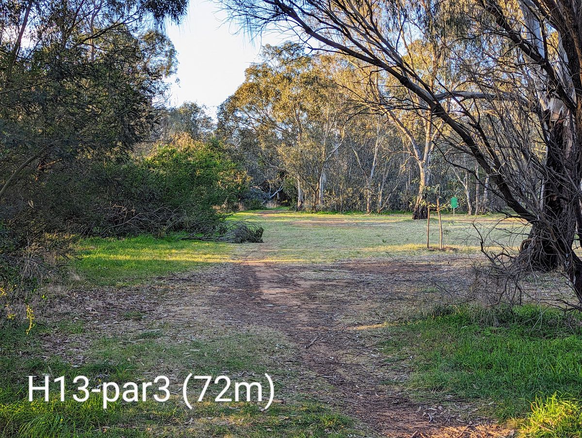 H13-par3 (72m)