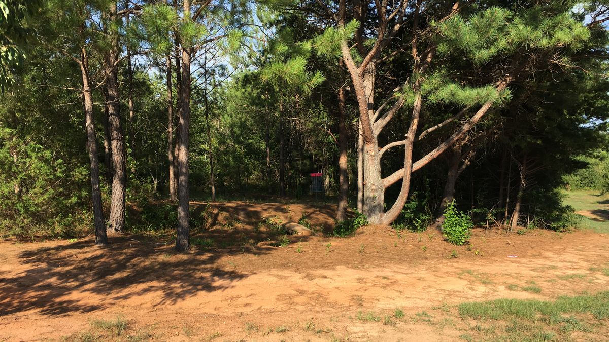 Hole 21