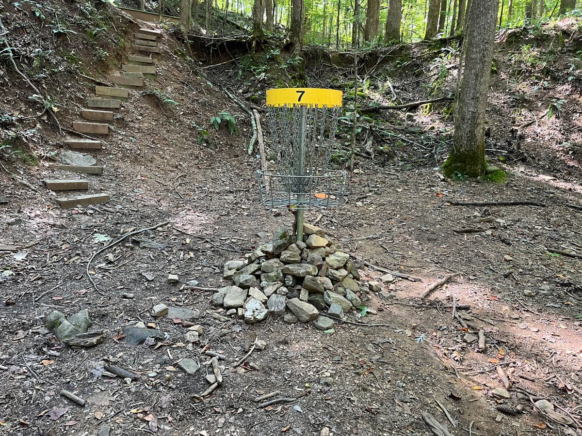 Hole 7 basket