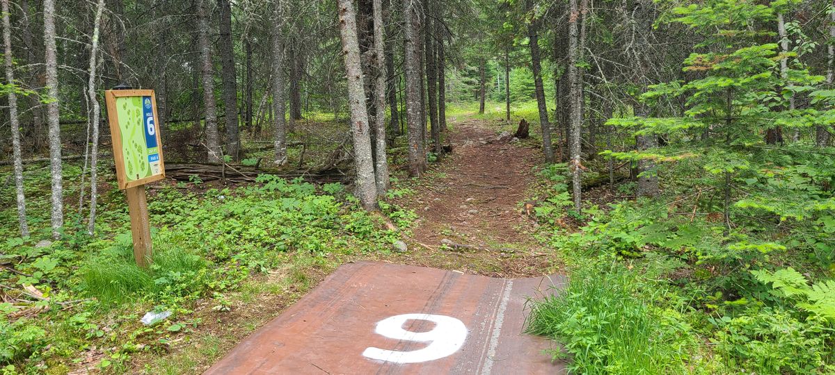 Hole 6 tee