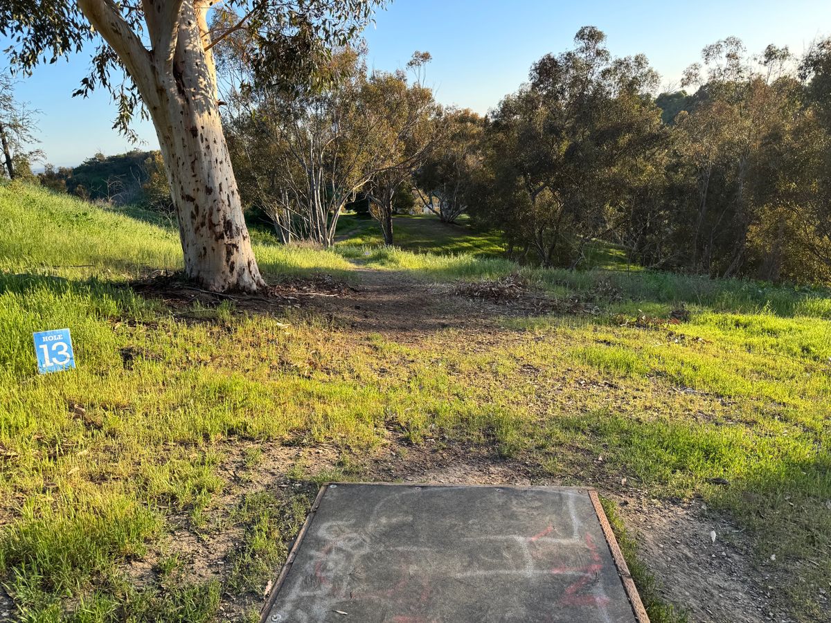 13 Super ALT tee box