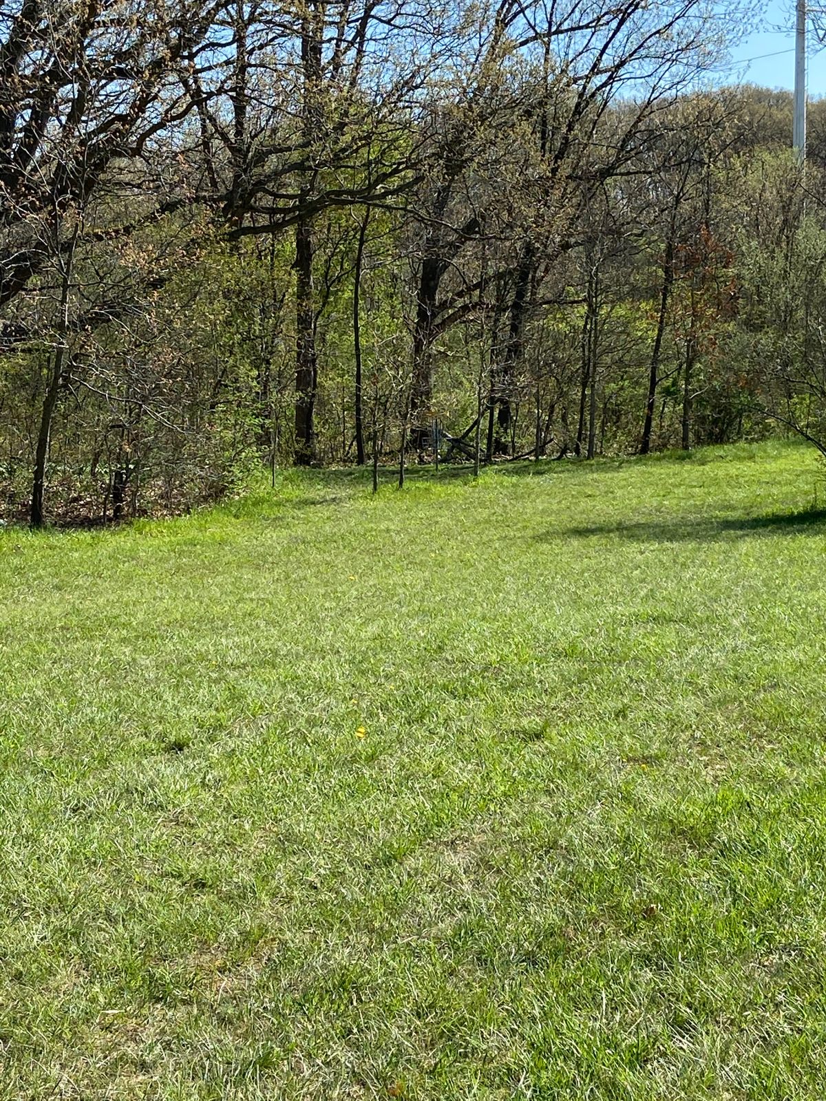 Looking at the pin of hole 7. Tucked in the trees.