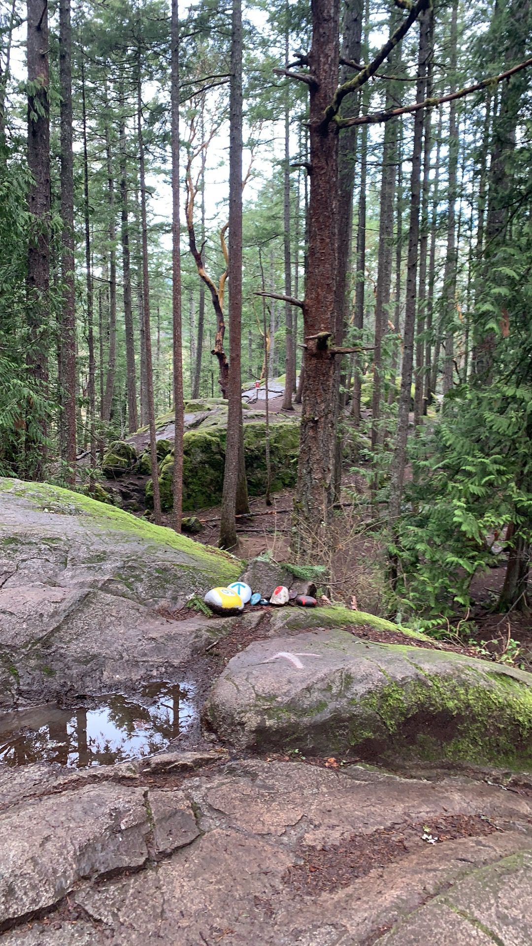 Hole 9