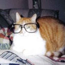 User avatar image