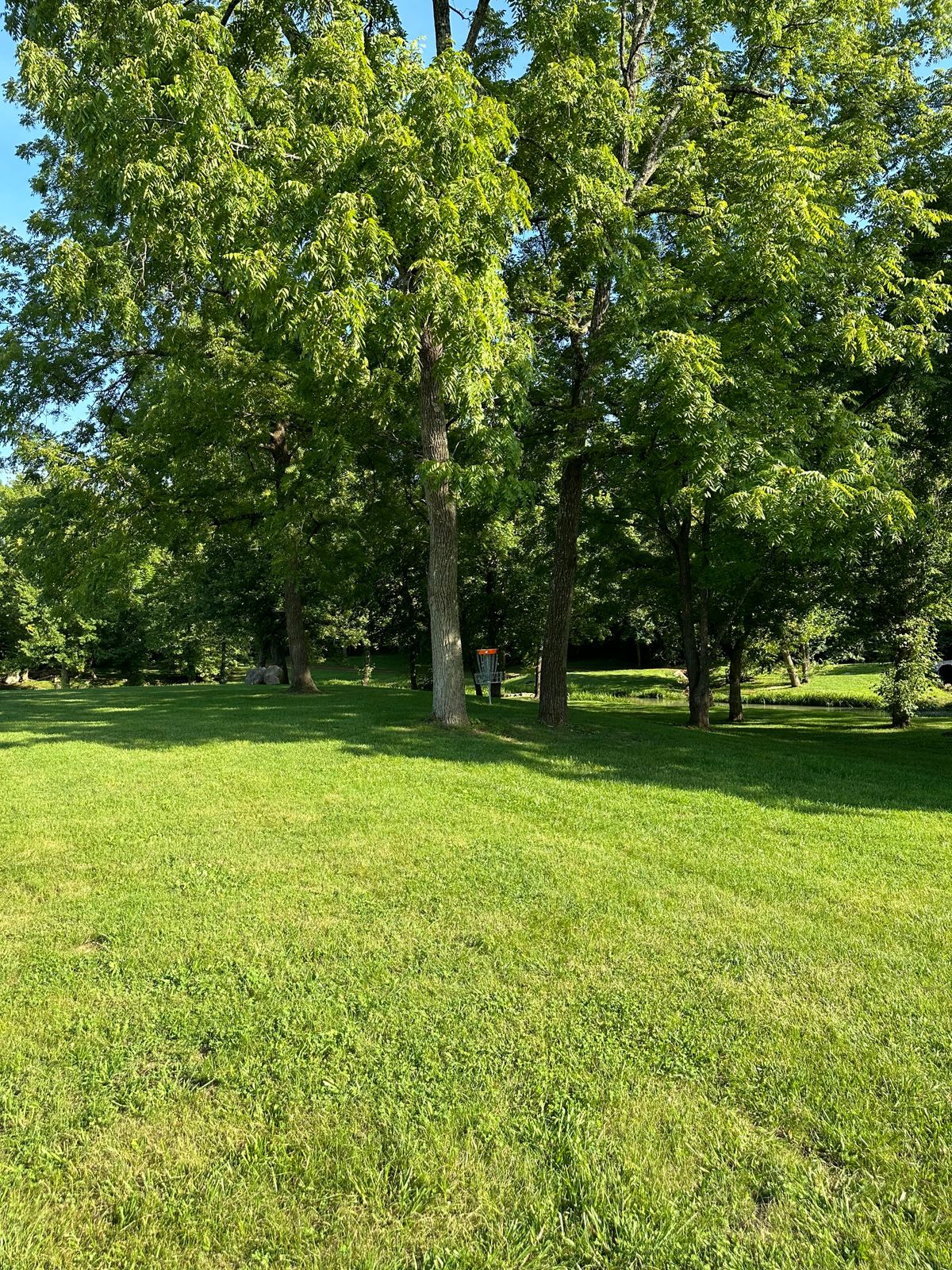 Hole 4 approach