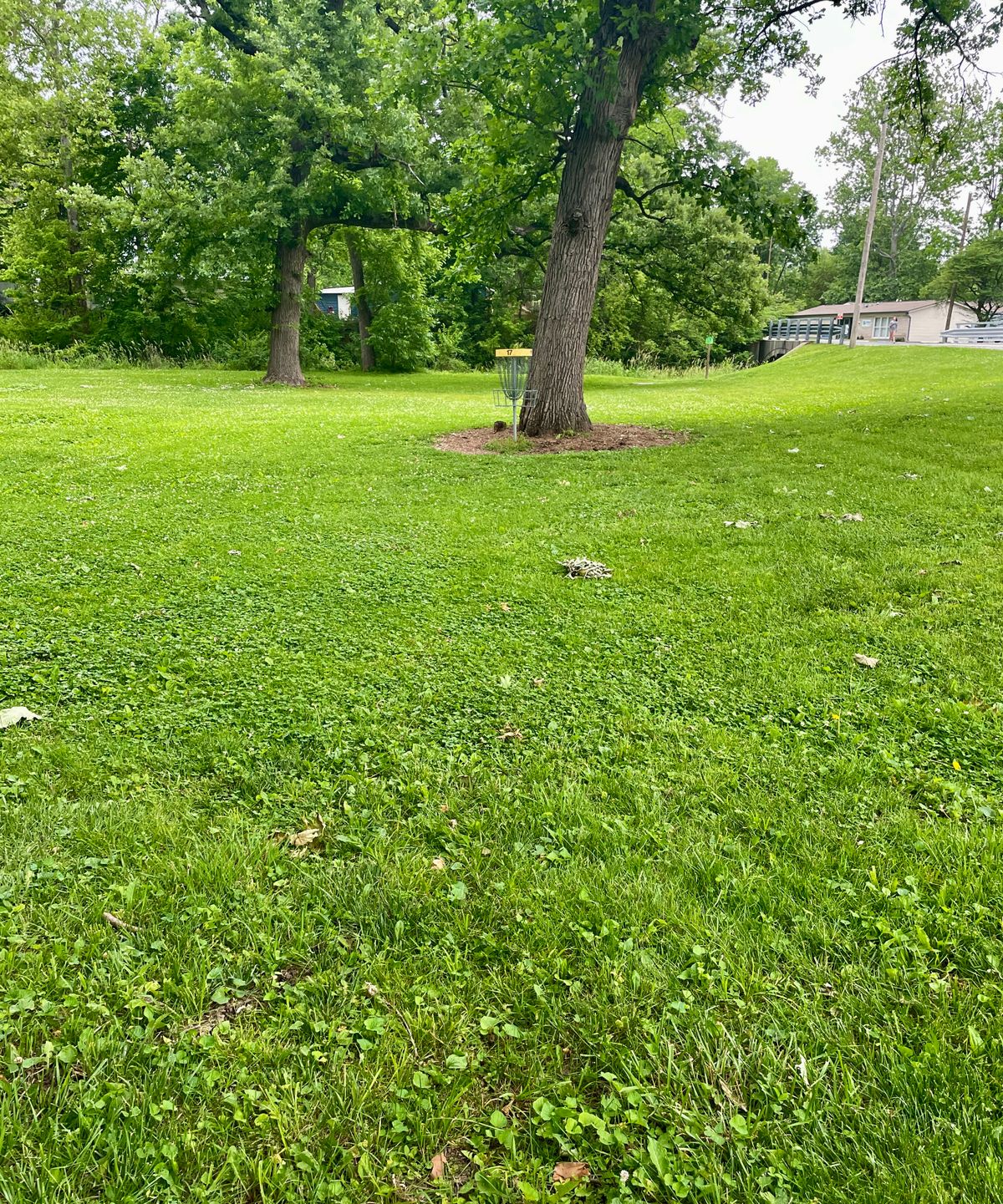 Hole 17 basket