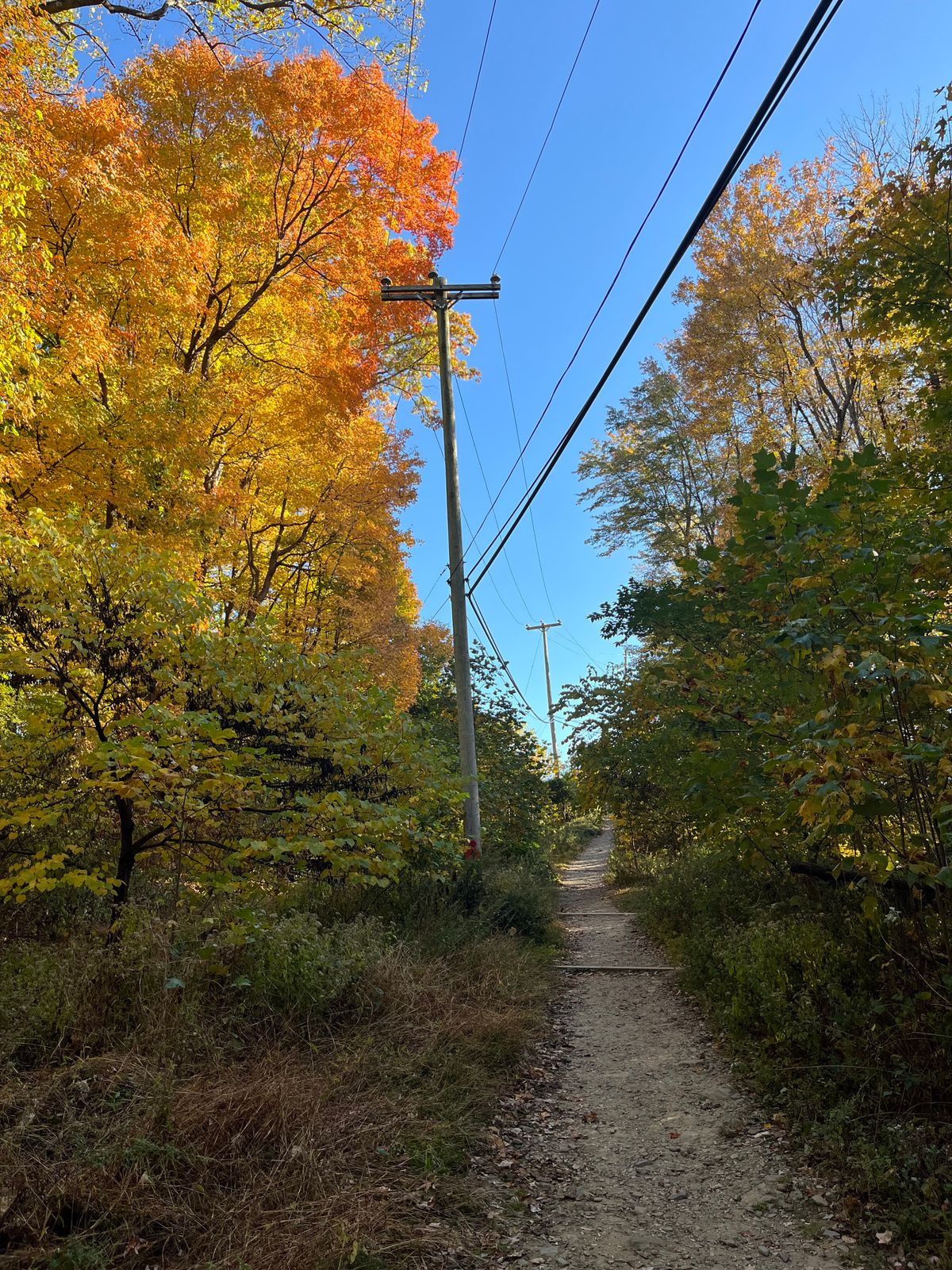 The path out