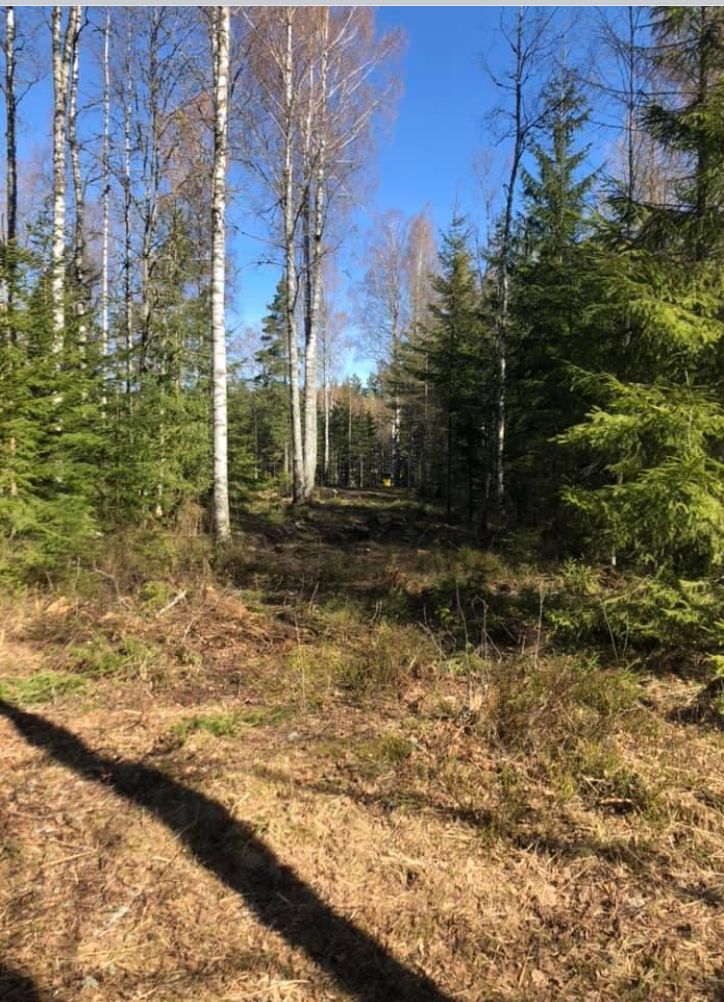 Hål 3 innan det blev rensat…