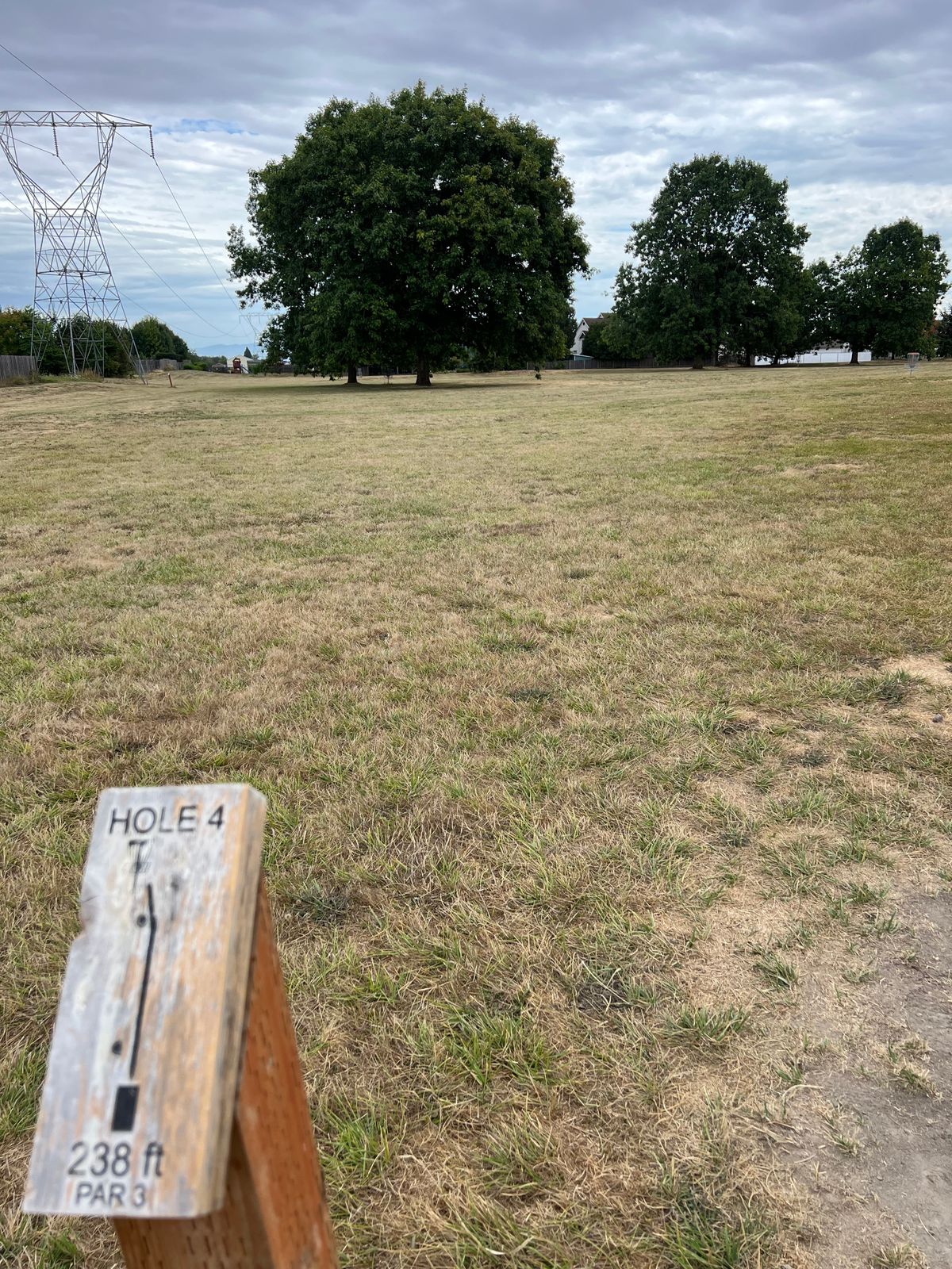 Low hanging branches once again but a pretty easy to skip in there.