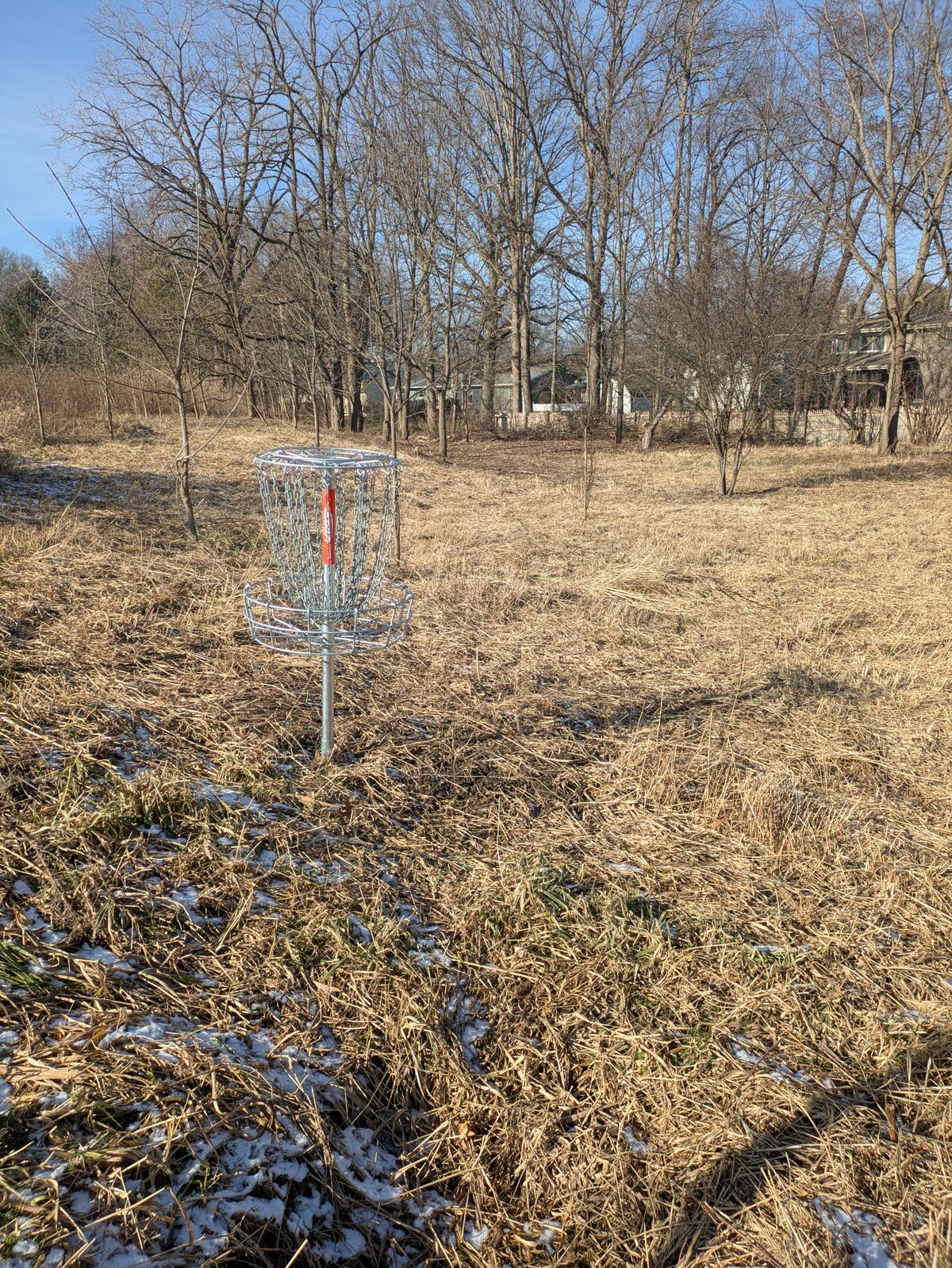 Hole 2 basket