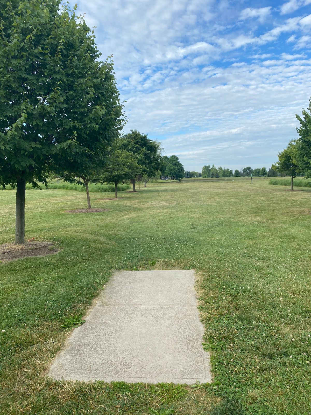 Hole 1 (Tee Box)