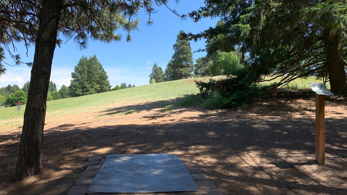 Hole 8