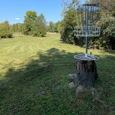 Elevated stump basket