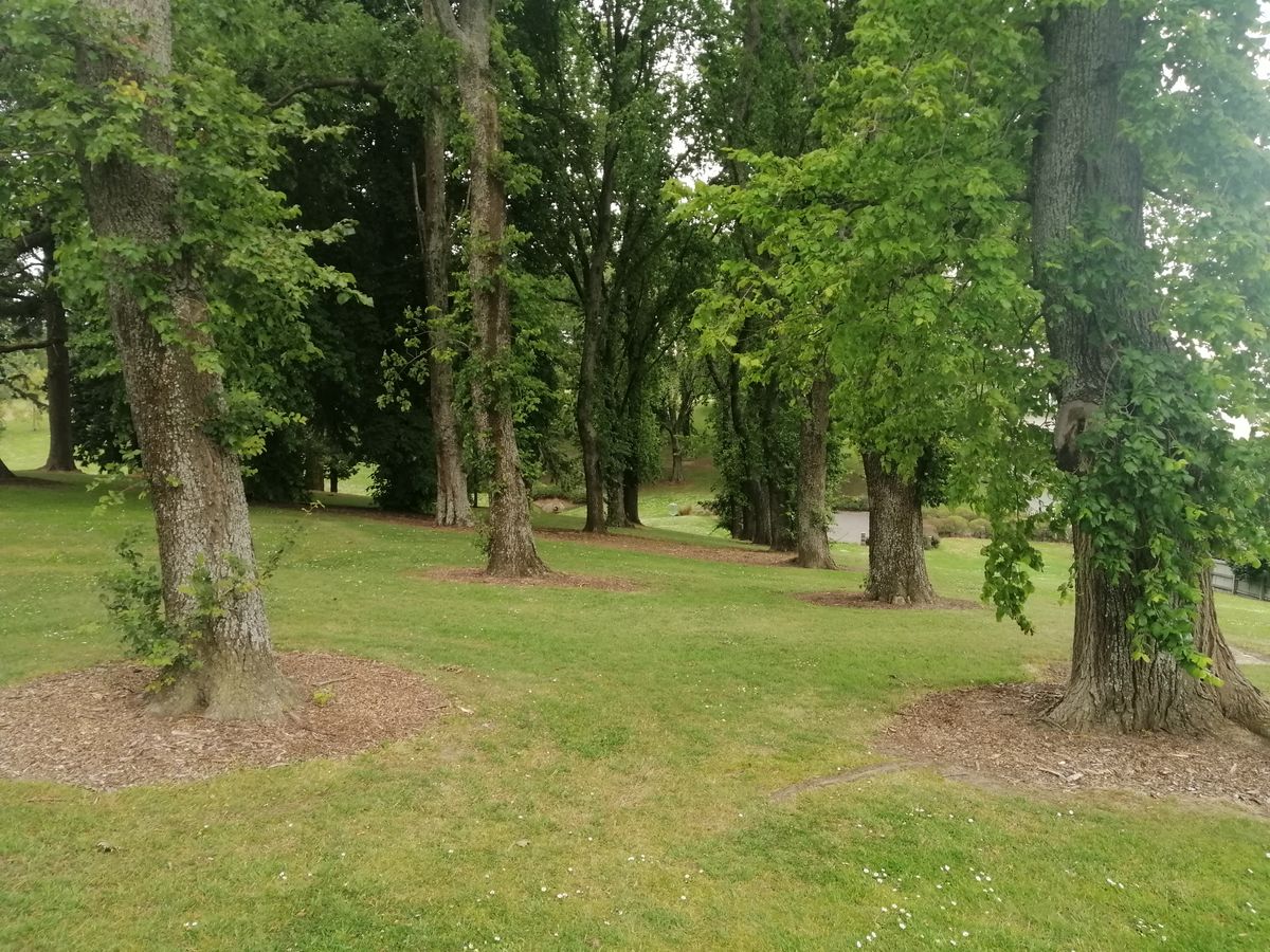 Hole 2
