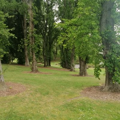 Hole 2
