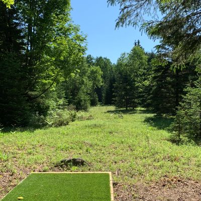 Hole 7 from the tee, this abandoned meadow has two baskets, the long is a tight dogleg right.
