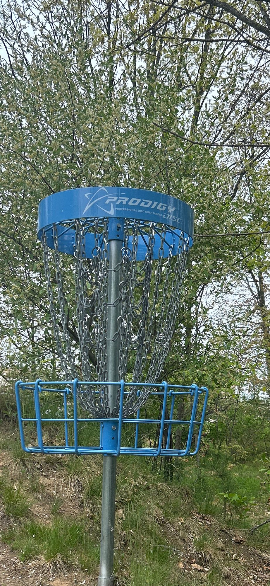 Hole#4 Basket