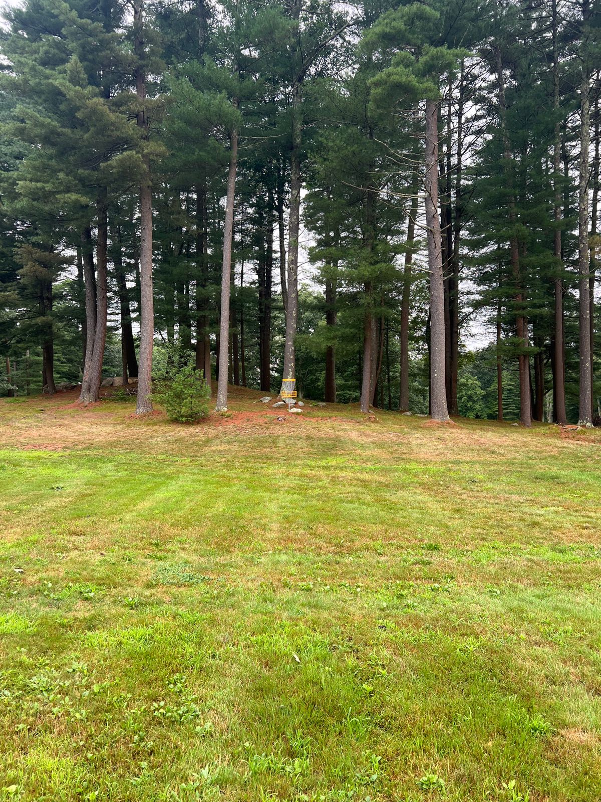 Hole 2 Basket