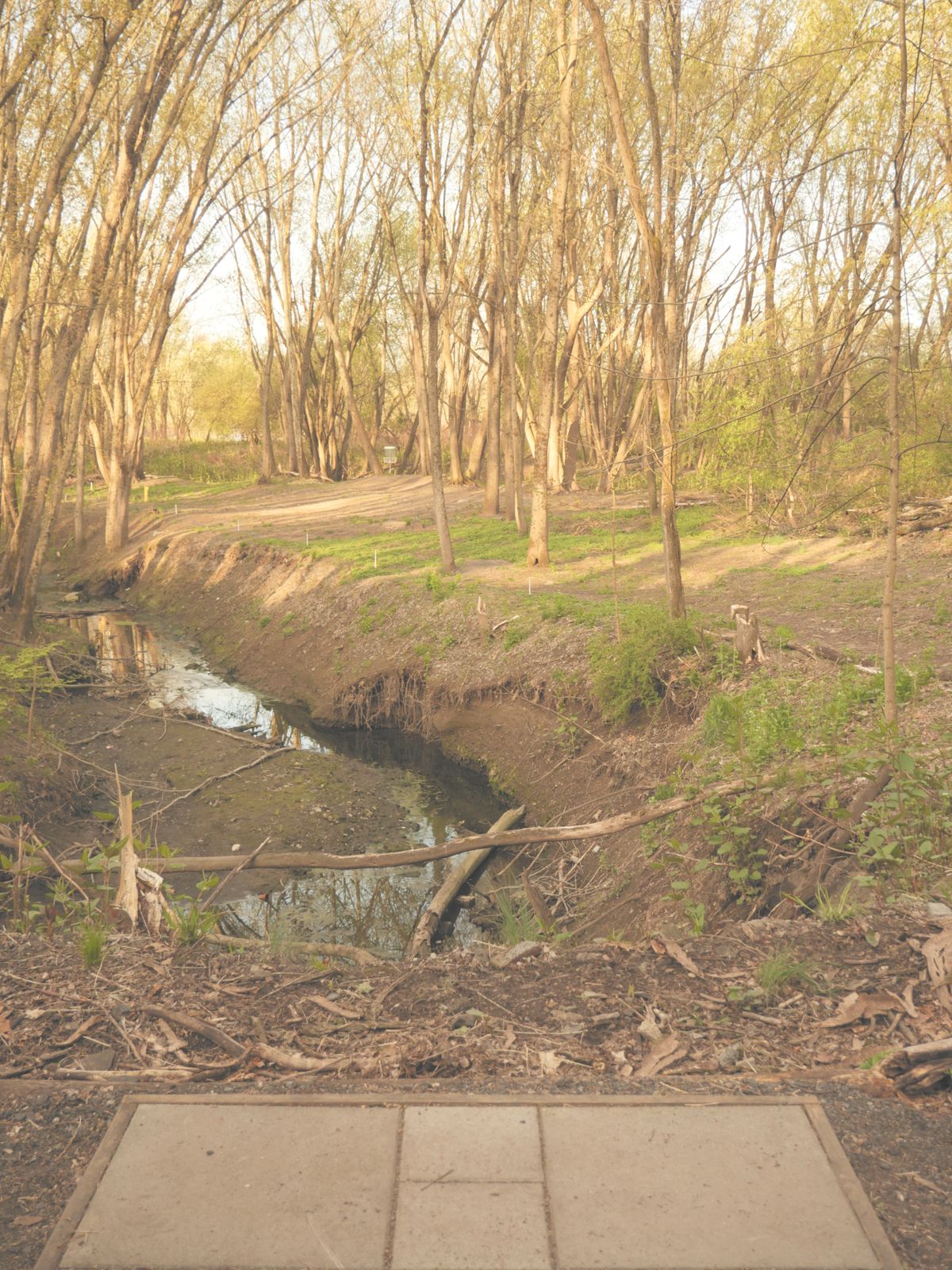 Hole 7. White Teepad.
