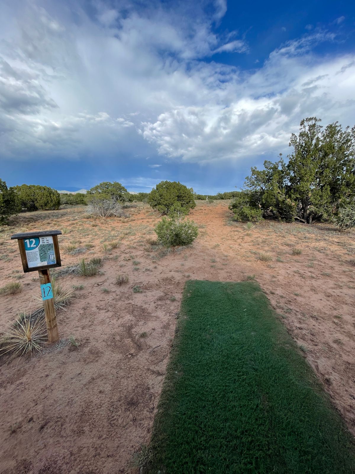 Hole 12 Pro tee pad