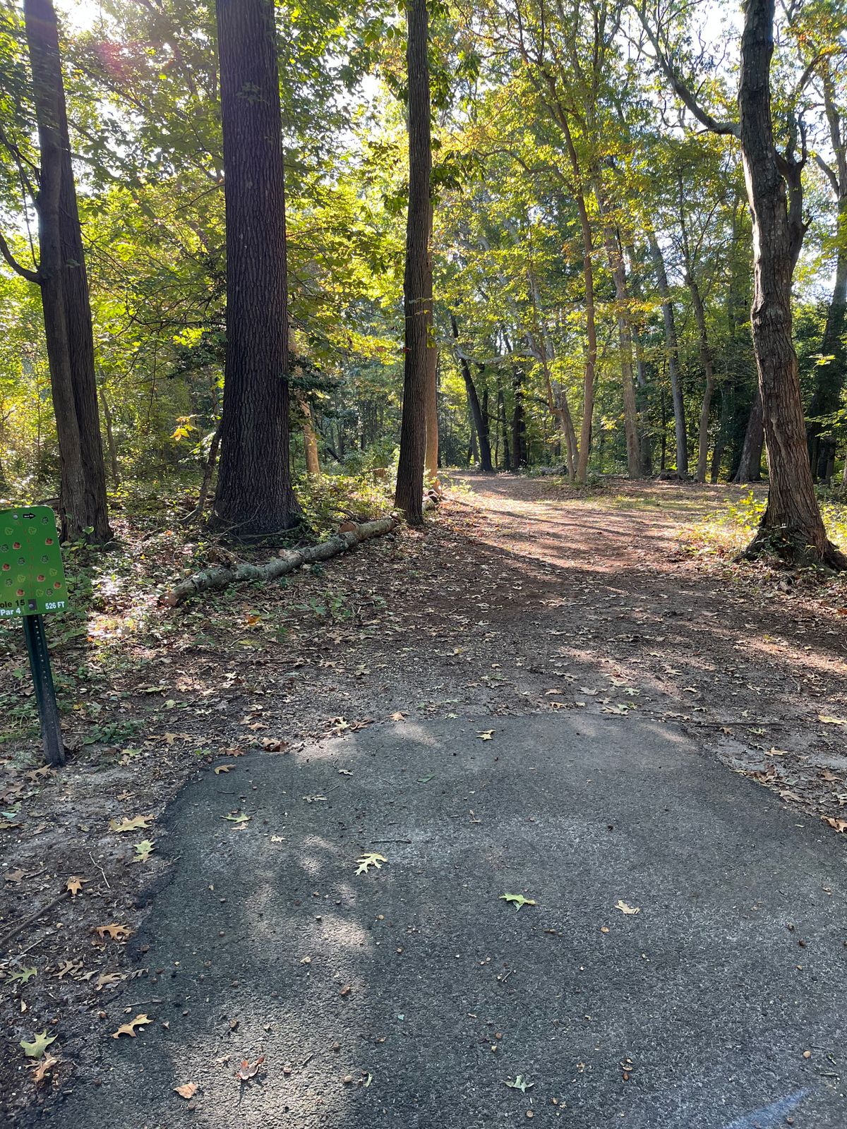 Hole 15 tee