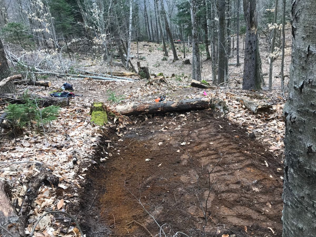 Hole 15 tee pad.