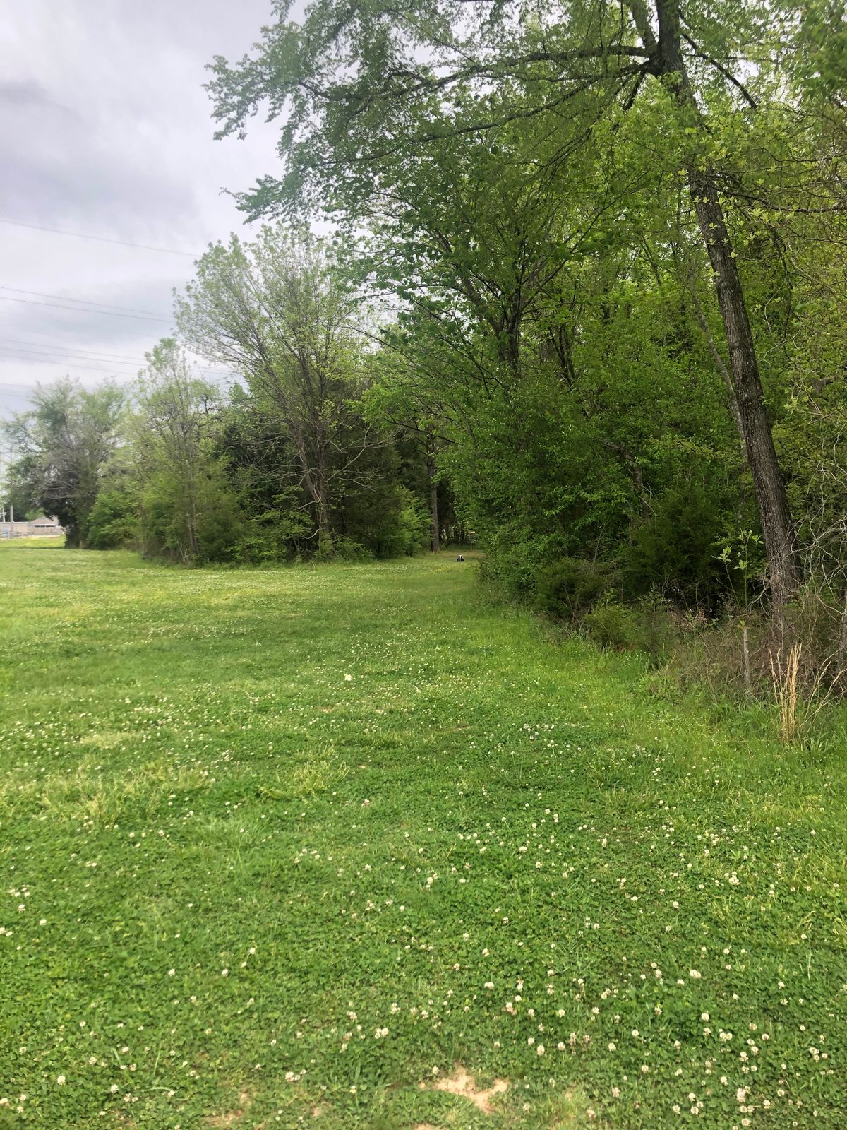Hole 4