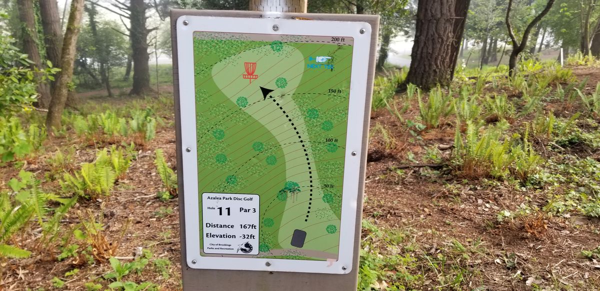 Hole 11