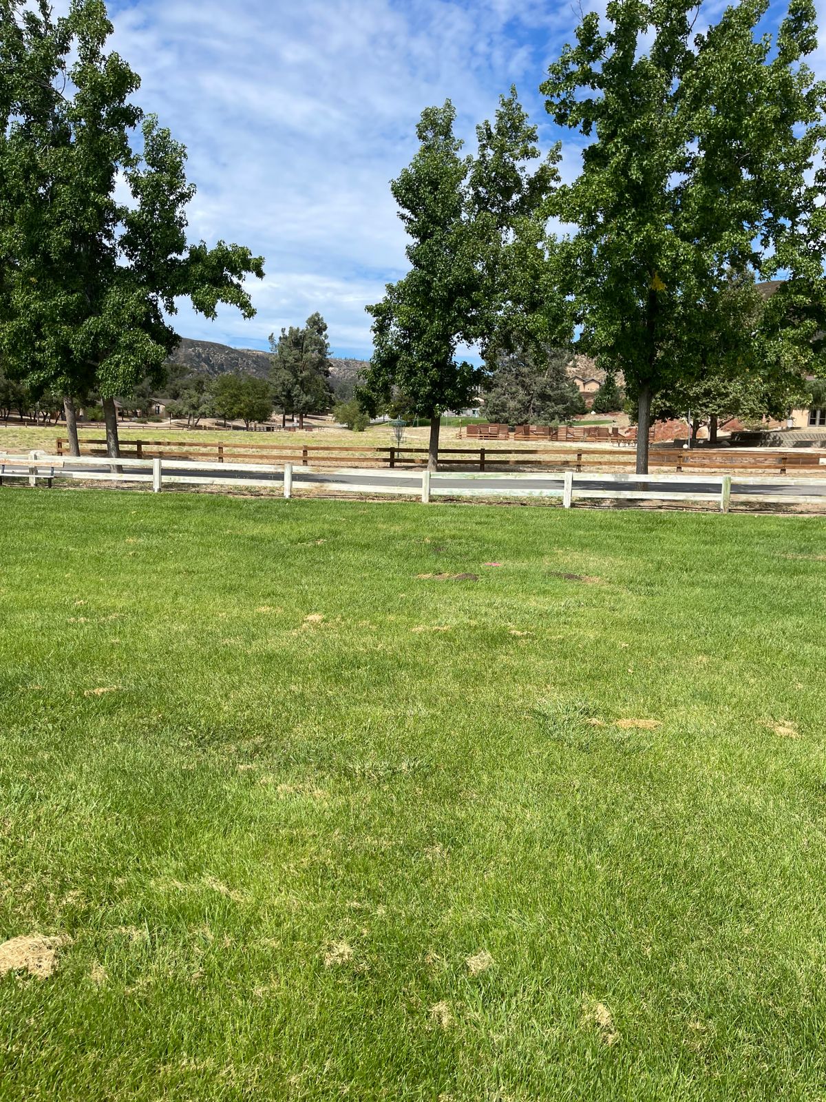 Hole 1 Basket next to tree