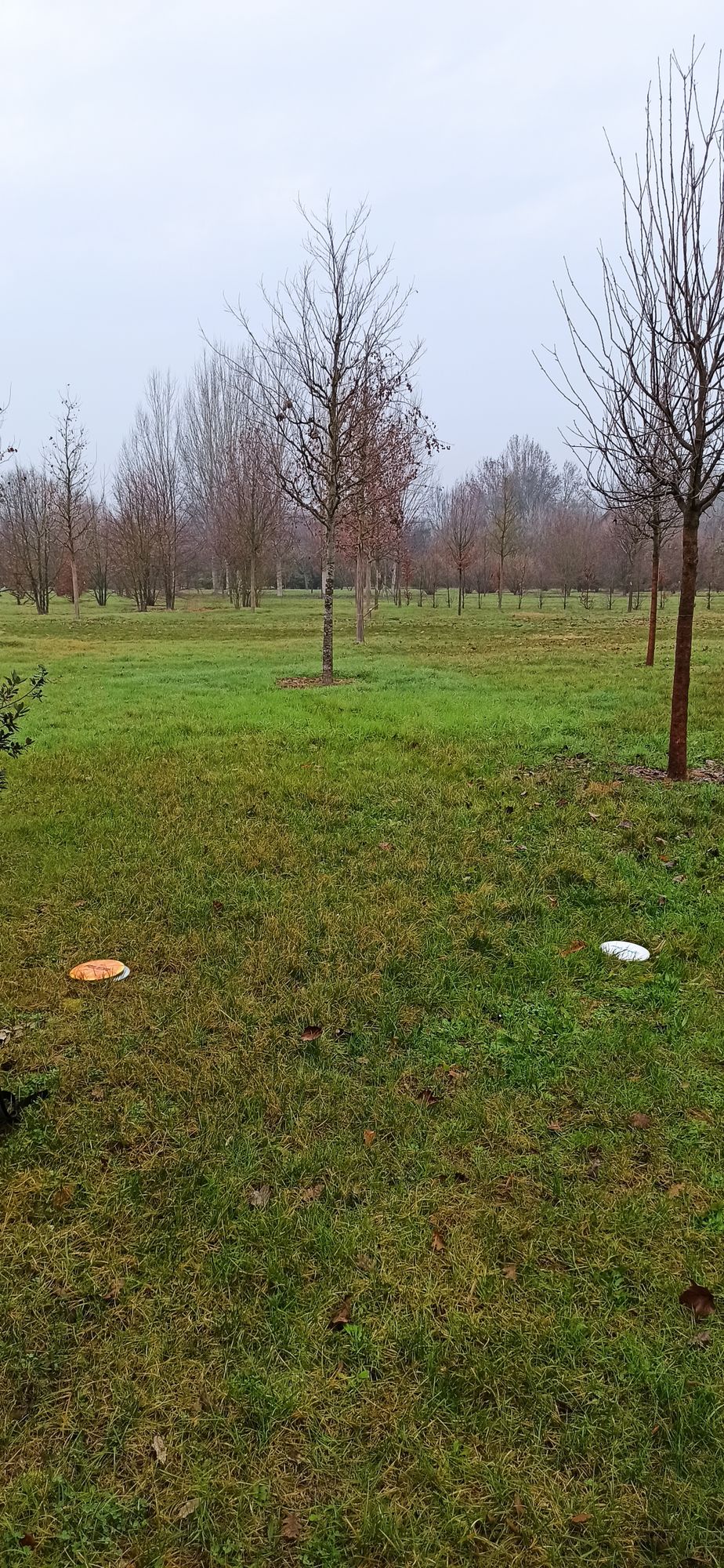 Hole 8 tee spot