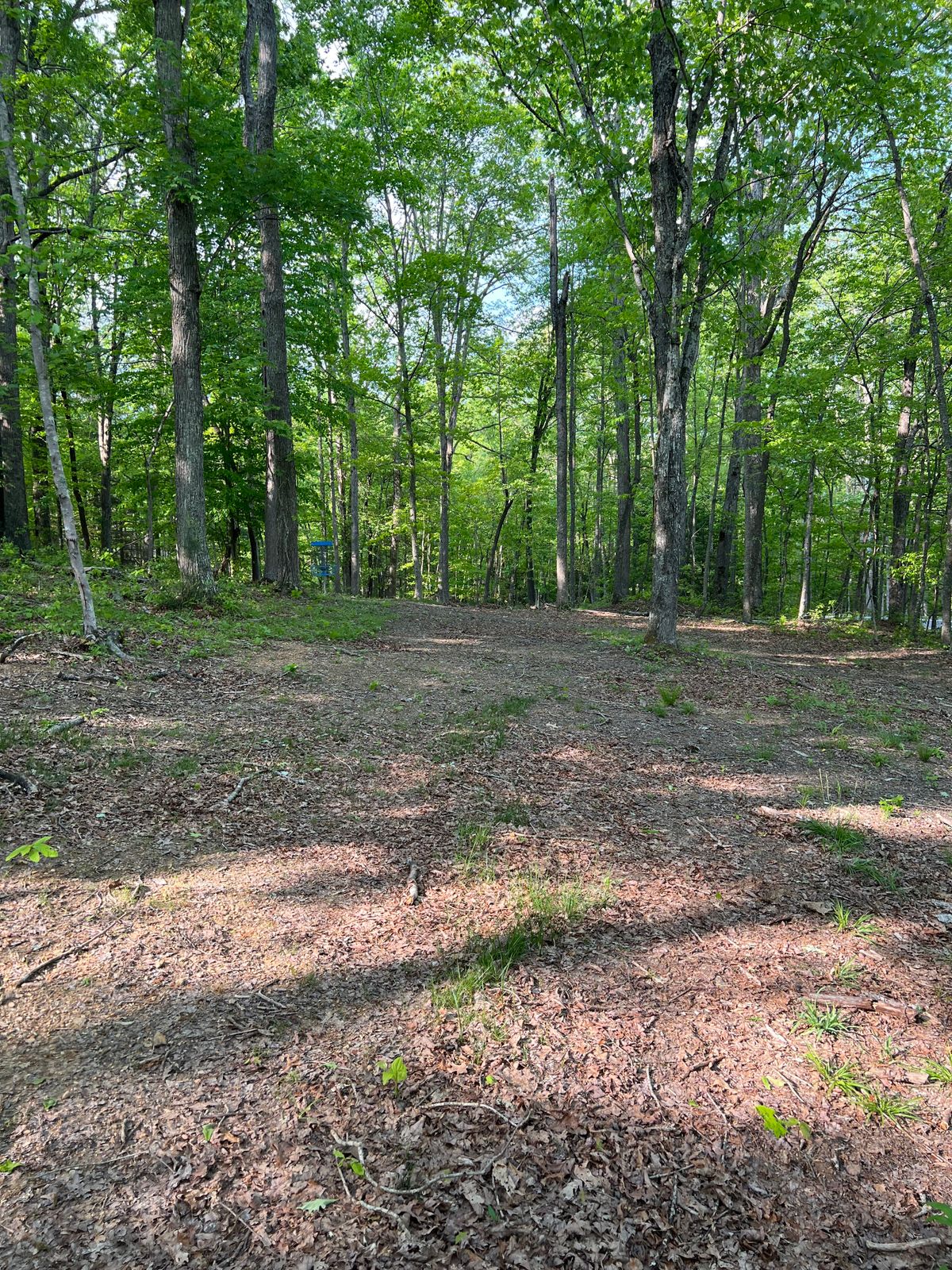 Hole 9 Approach