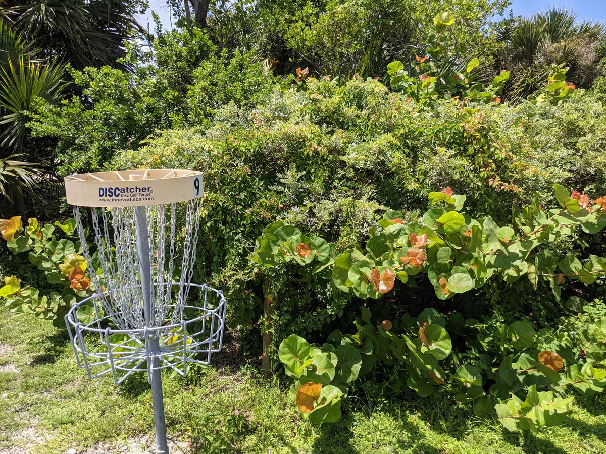 Basket 9. Dont throw into the wildlife..