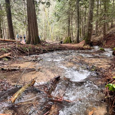 Year round running creek.