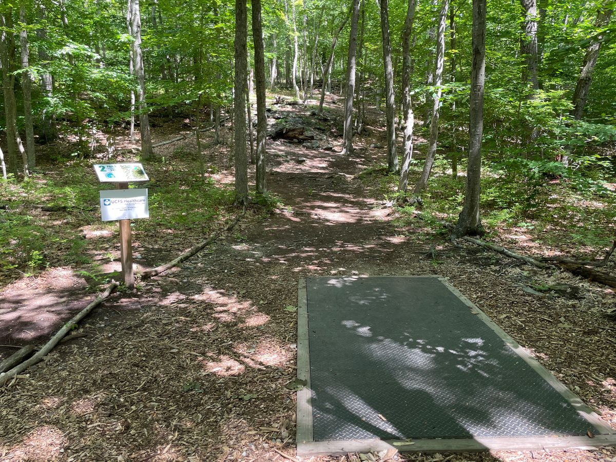 Hole 2 tee pad